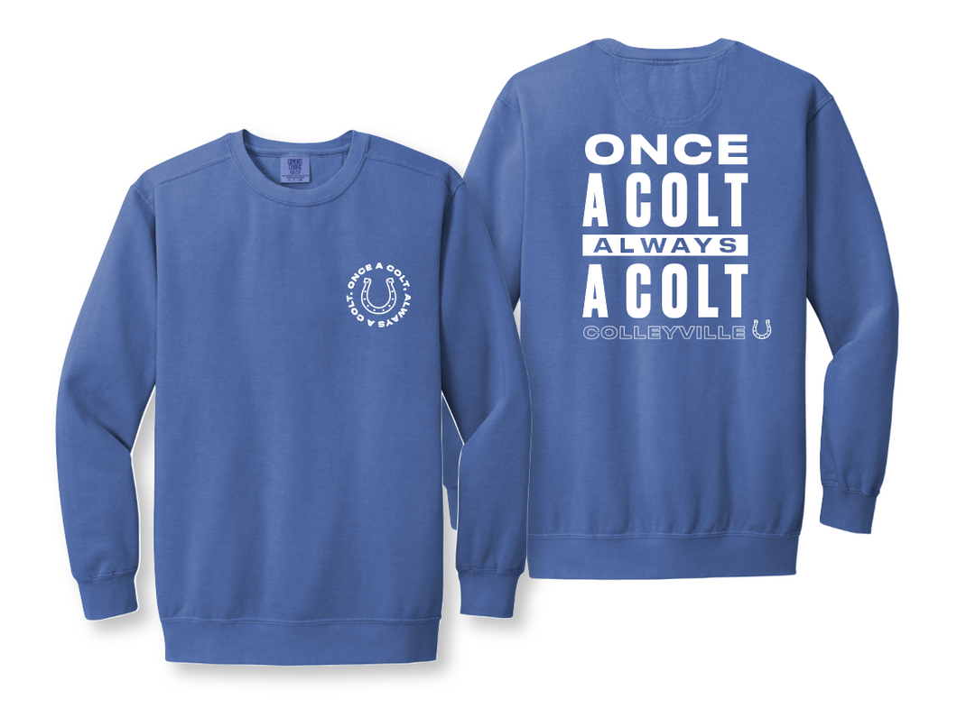 Once & Always Crew Sweatshirt by Comfort Colors in Washed Blue