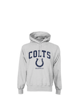 Load image into Gallery viewer, COLTS Stand Up Pullover Hoodie by Champion in Grey Htr

