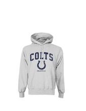 Load image into Gallery viewer, Youth - COLTS Stand Up Pullover Hoodie by Champion in Grey Htr
